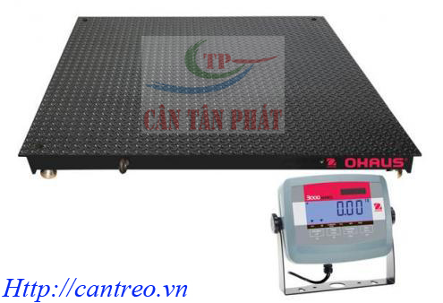 Cân sàn OHAUS T31P  1 tấn đến 2 tấn 3 tấn